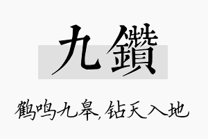 九钻名字的寓意及含义