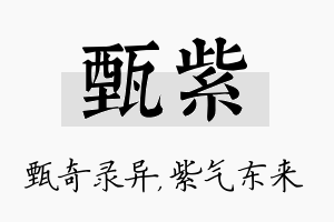 甄紫名字的寓意及含义