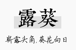 露葵名字的寓意及含义