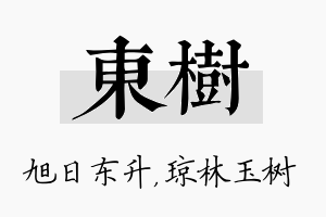 东树名字的寓意及含义