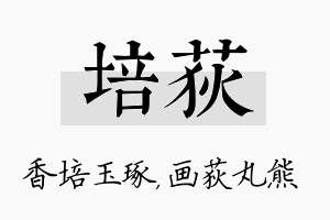 培荻名字的寓意及含义