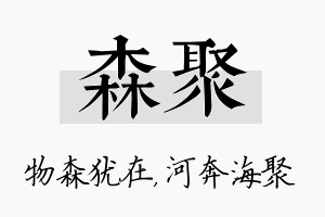 森聚名字的寓意及含义