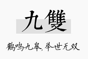 九双名字的寓意及含义