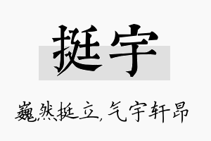 挺宇名字的寓意及含义