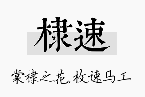 棣速名字的寓意及含义