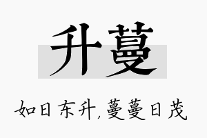 升蔓名字的寓意及含义