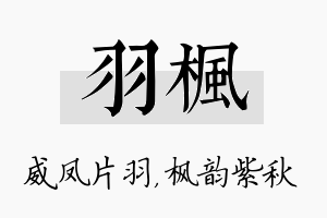 羽枫名字的寓意及含义