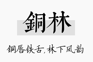 铜林名字的寓意及含义