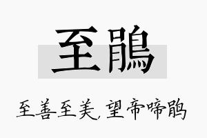 至鹃名字的寓意及含义