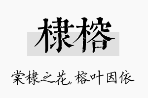 棣榕名字的寓意及含义