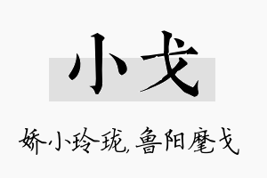 小戈名字的寓意及含义