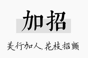 加招名字的寓意及含义