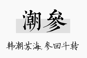 潮参名字的寓意及含义