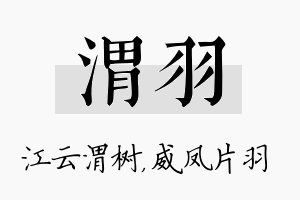 渭羽名字的寓意及含义