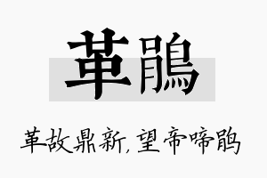 革鹃名字的寓意及含义