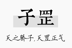 子罡名字的寓意及含义