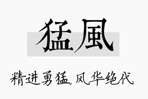 猛风名字的寓意及含义