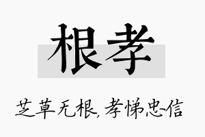 根孝名字的寓意及含义