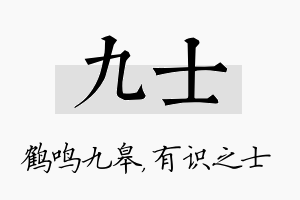 九士名字的寓意及含义