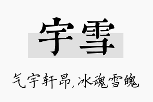 宇雪名字的寓意及含义