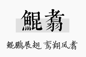 鲲翥名字的寓意及含义