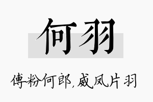 何羽名字的寓意及含义