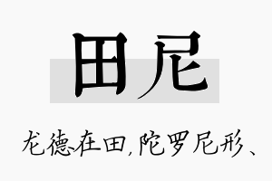 田尼名字的寓意及含义