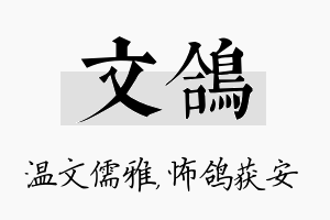 文鸽名字的寓意及含义