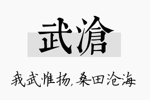 武沧名字的寓意及含义