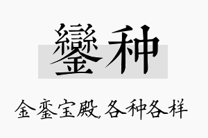 銮种名字的寓意及含义