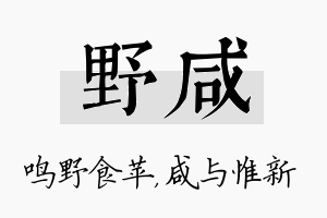 野咸名字的寓意及含义