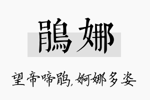 鹃娜名字的寓意及含义