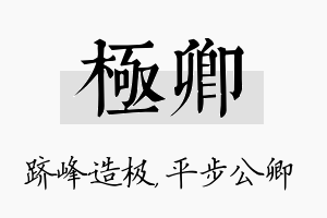 极卿名字的寓意及含义