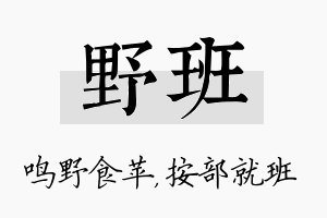 野班名字的寓意及含义