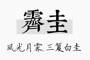 霁圭名字的寓意及含义