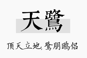 天鹭名字的寓意及含义