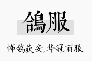 鸽服名字的寓意及含义