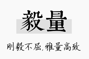 毅量名字的寓意及含义