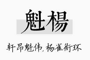 魁杨名字的寓意及含义