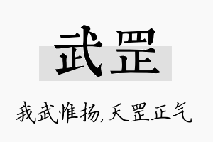 武罡名字的寓意及含义