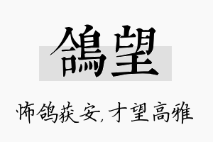 鸽望名字的寓意及含义