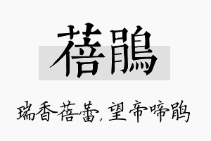 蓓鹃名字的寓意及含义