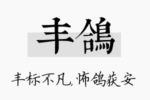 丰鸽名字的寓意及含义