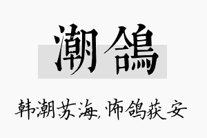 潮鸽名字的寓意及含义