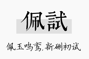 佩试名字的寓意及含义