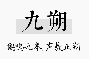 九朔名字的寓意及含义