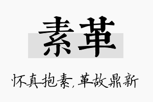 素革名字的寓意及含义