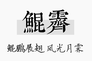 鲲霁名字的寓意及含义