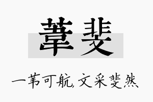 苇斐名字的寓意及含义