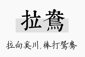 拉鸯名字的寓意及含义